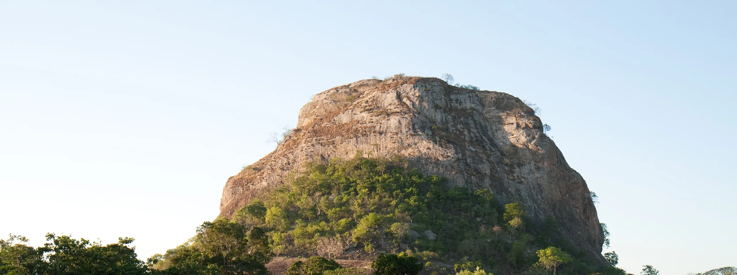 A granite inselberg in low evening light above woodland, Cabo Delgado Province, Mozambique