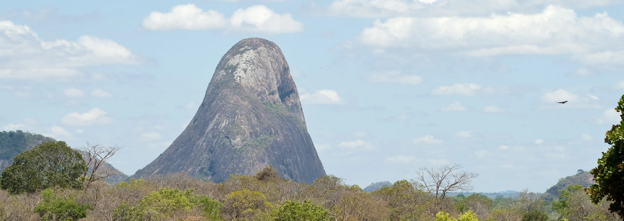 A granite inselberg rising above dry woodland under a blue sky, near Nivali in Nampula Province, Mozambique